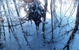 Effects of Mayflower Oil Spill in nearby creek