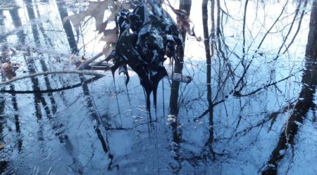Effects of Mayflower Oil Spill in nearby creek